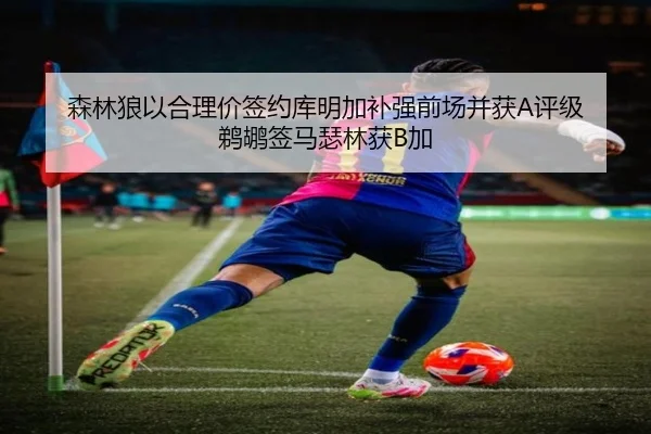 森林狼以合理价签约库明加补强前场并获A评级 鹈鹕签马瑟林获B加